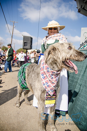 Krewe of Barkus 2012-303