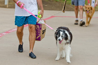 Wags and Waves 2011-5
