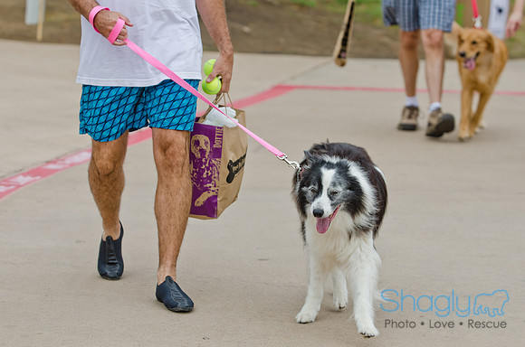 Wags and Waves 2011-5