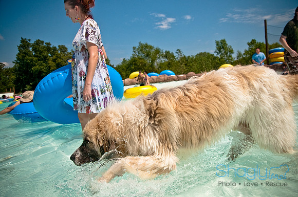 Wags and Waves-243