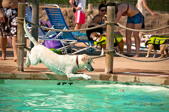 Wags and Waves-132