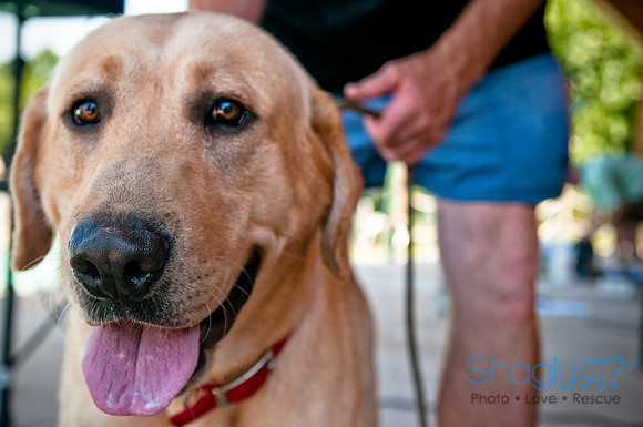 Wags and Waves-341