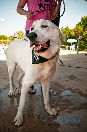 Wags and Waves-337