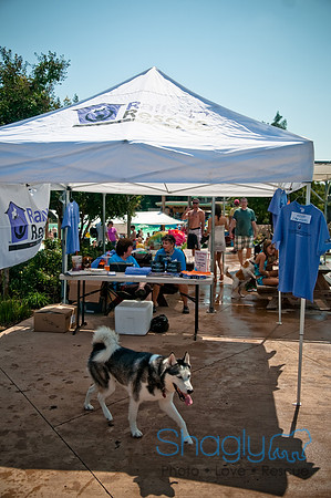 Wags and Waves-272