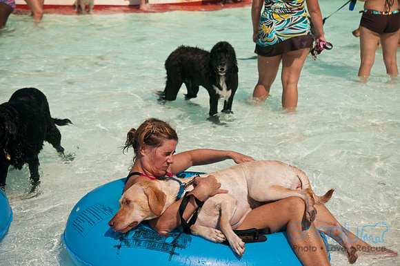 Wags and Waves-231