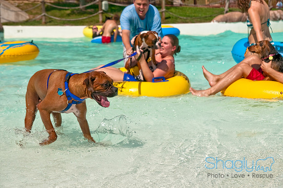 Wags and Waves-235