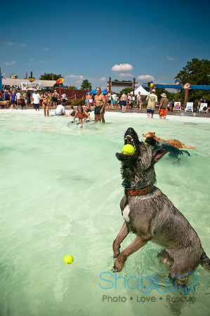 Wags and Waves-352