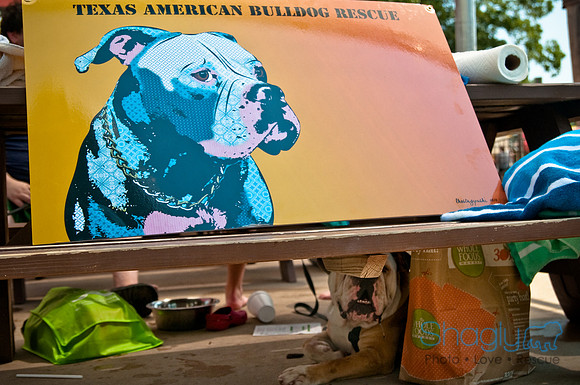 Wags and Waves-432