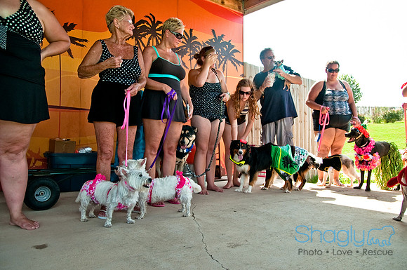 Wags and Waves-519