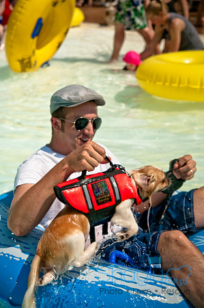 Wags and Waves-454