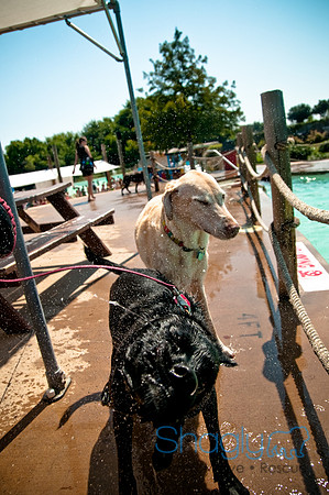 Wags and Waves-284