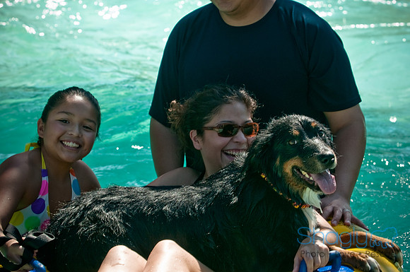 Wags and Waves-72