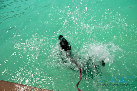 Wags and Waves-277