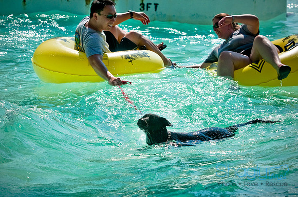 Wags and Waves-55