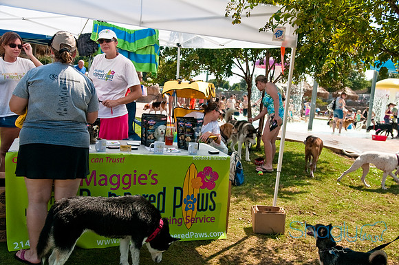 Wags and Waves-399