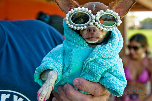 Wags and Waves-536