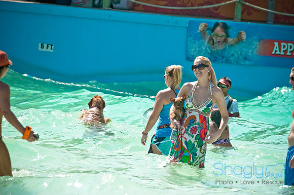 Wags and Waves-200