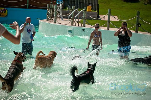 Wags and Waves-150