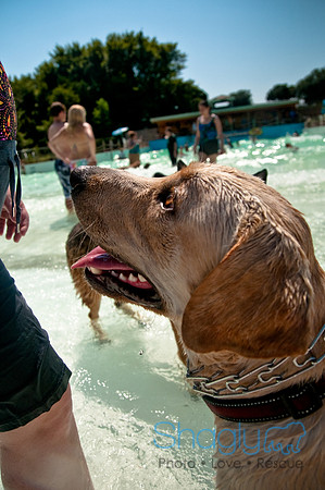 Wags and Waves-291