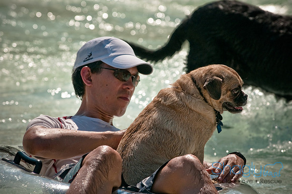 Wags and Waves-162