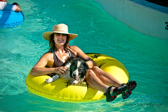 Wags and Waves-53