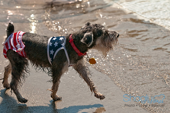 Wags and Waves-193