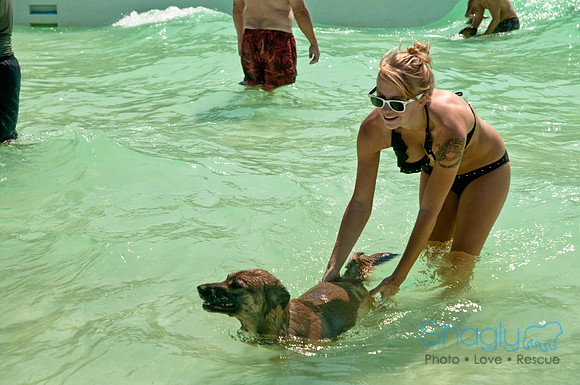 Wags and Waves-358