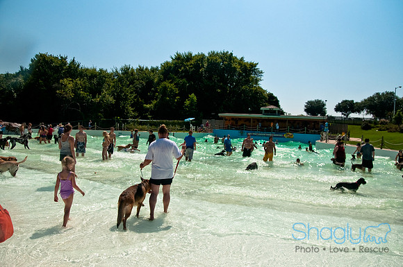 Wags and Waves-288