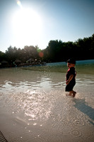 Wags and Waves-2
