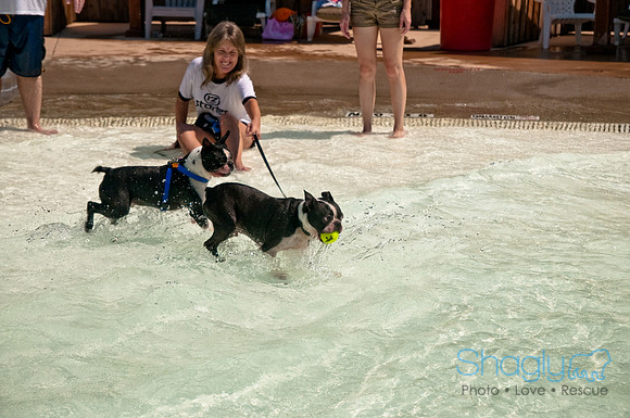 Wags and Waves-297