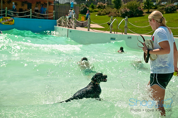 Wags and Waves-305