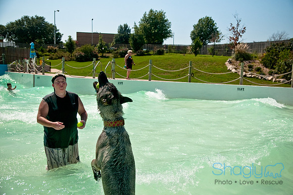 Wags and Waves-346