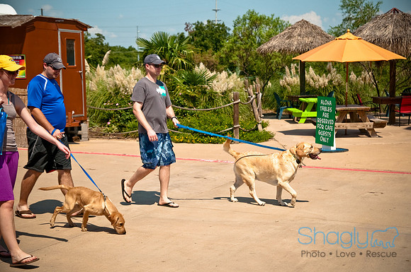 Wags and Waves-384