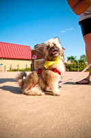 Wags and Waves-14