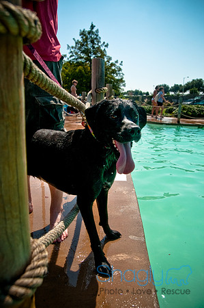 Wags and Waves-274