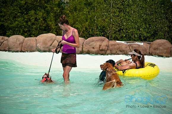 Wags and Waves-452