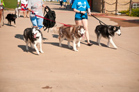 Wags and Waves-20