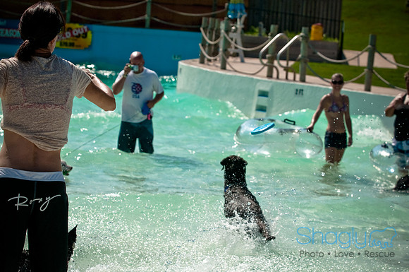Wags and Waves-149