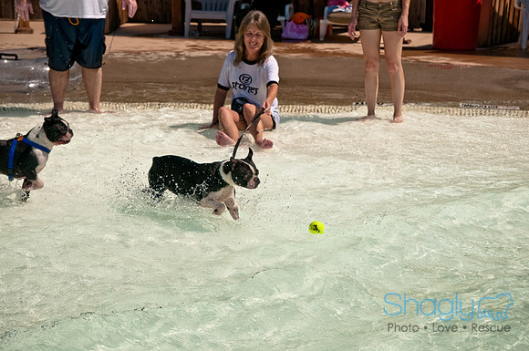 Wags and Waves-296