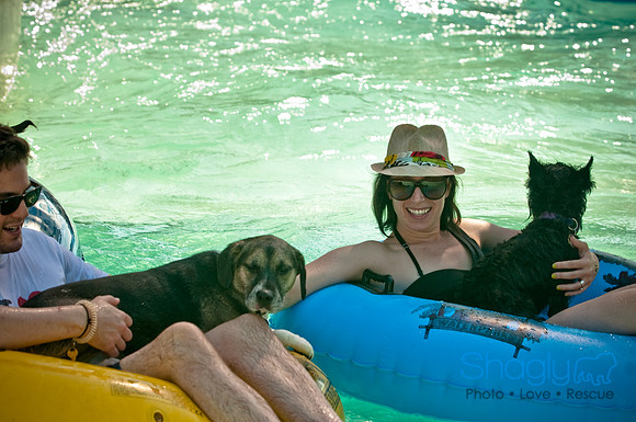 Wags and Waves-83