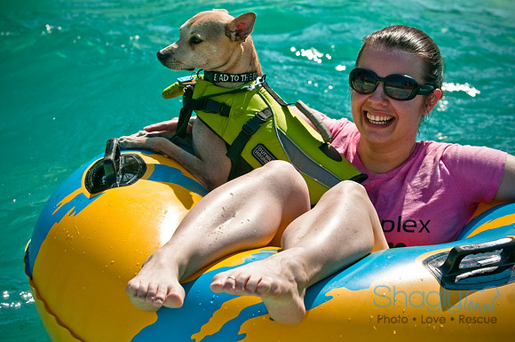 Wags and Waves-67
