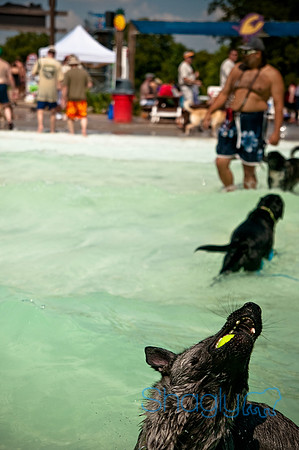Wags and Waves-353