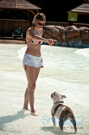 Wags and Waves-159