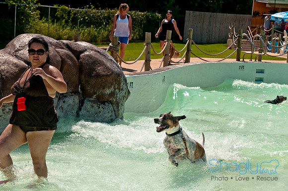 Wags and Waves-295