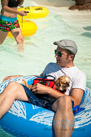 Wags and Waves-455