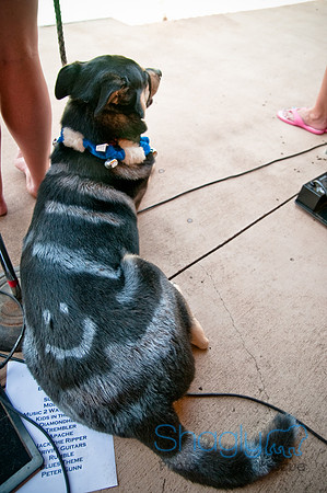 Wags and Waves-539