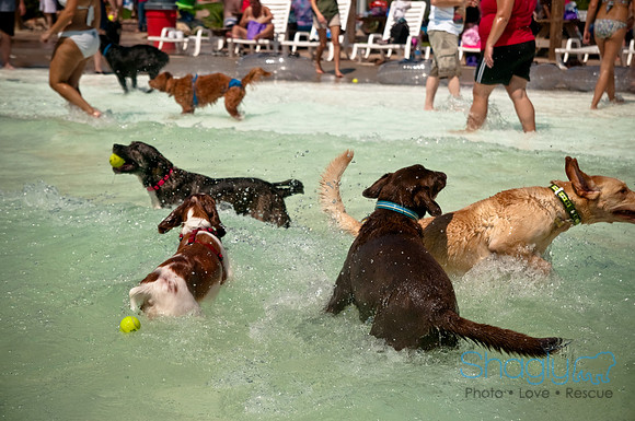 Wags and Waves-361