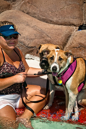 Wags and Waves-460