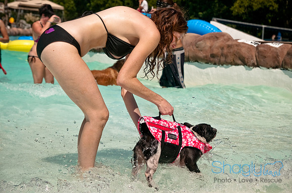 Wags and Waves-238