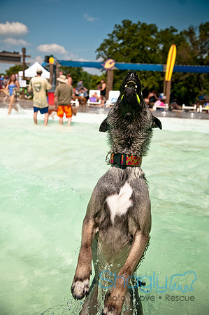 Wags and Waves-349